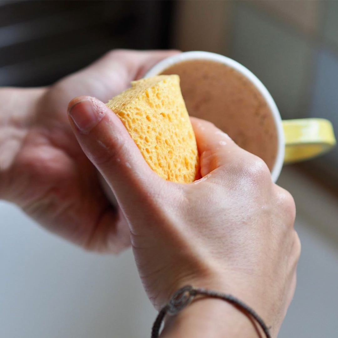 Aapon mini market -Compostable Cellulose Sponges