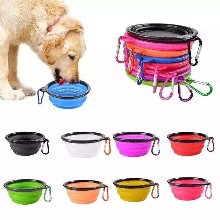 Aapon Mini Market Foldable Silicone Pet Bowl with Carabiner – For Food & Water