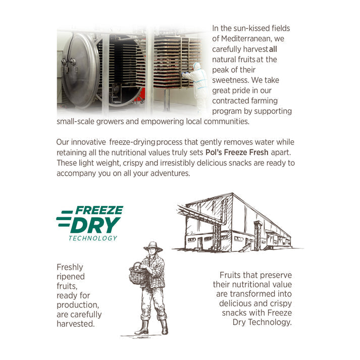 Fruit Mix Freeze-Dried Snacks | Pol's Freeze Fresh- 20g