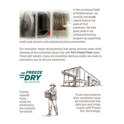 Apple Freeze-Dried Fruit Snacks | Pol's Freeze Fresh- 15g