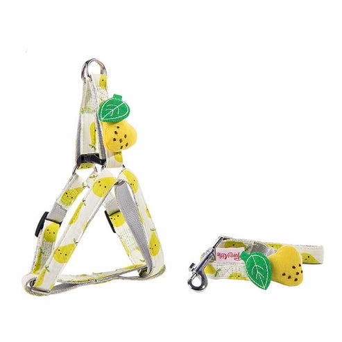Aaponminimarket Fruit Series Dog Collar
