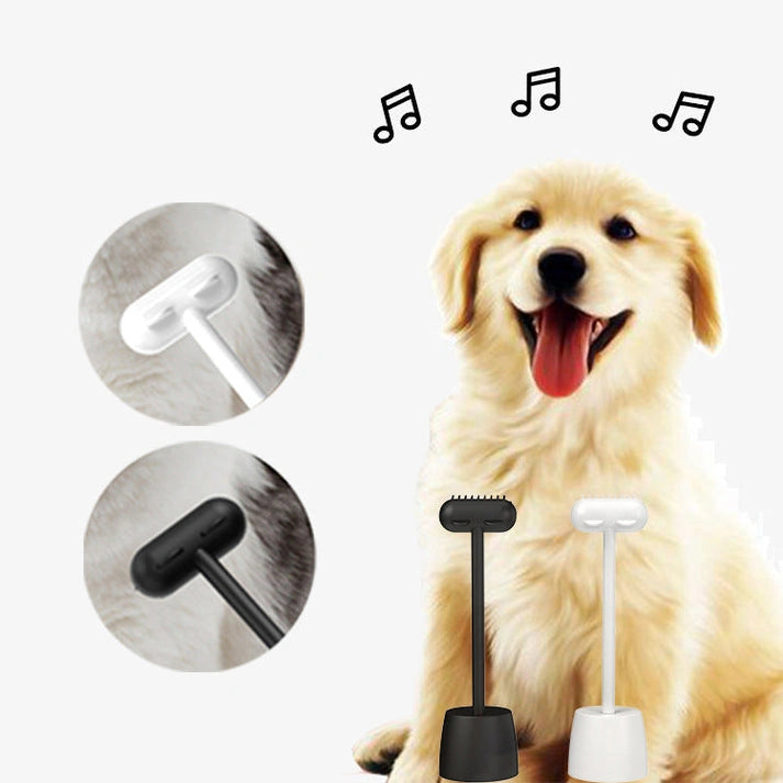 Aaponminimarket Funny Cat Toy Comb Sticker