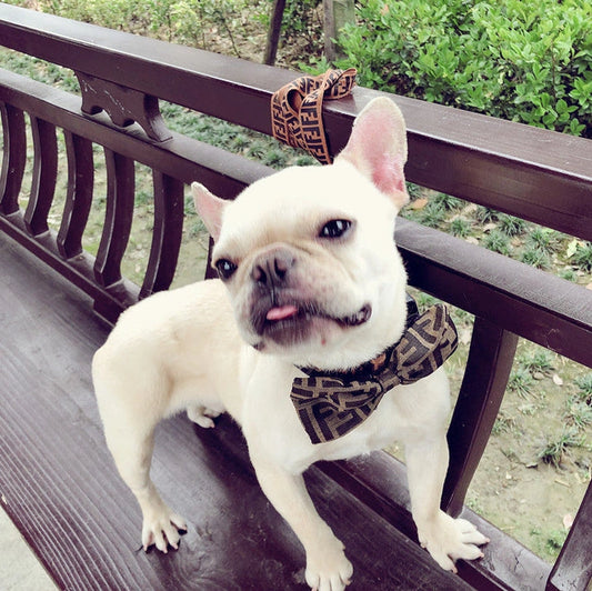 Aaponminimarket Handsome Dog Bow Tie Collar