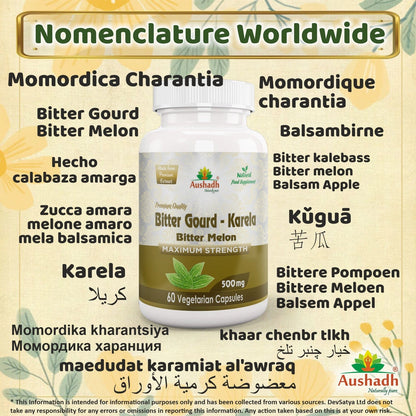 Aaponminimarket Aushadh Karela (Bitter Gourd) Capsules Glucose Wellness Support - Vegan, Gluten Free, Non-GMO, 60 Capsules