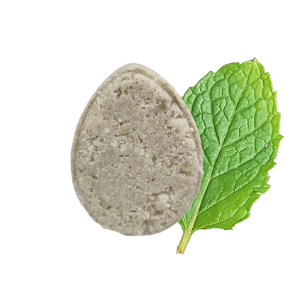 Mint ECO Shampoo bar - Non Soap based hair wash-1
