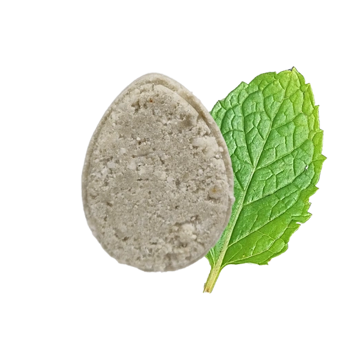 Aaponminimarket Mint ECO Shampoo bar - Non Soap based hair wash