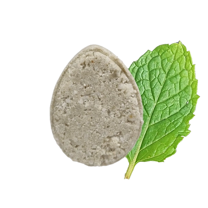 Aaponminimarket Mint ECO Shampoo bar - Non Soap based hair wash