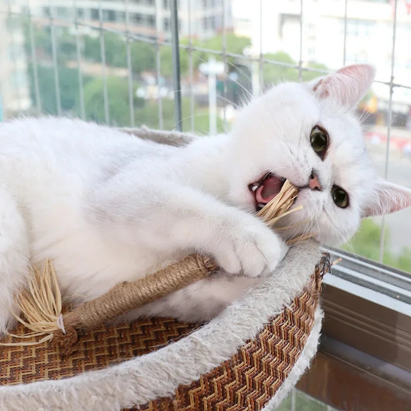 Organic Silvervine Cat Chew Sticks