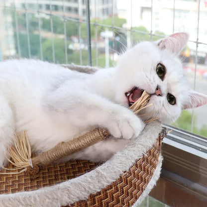 Organic Silvervine Cat Chew Sticks