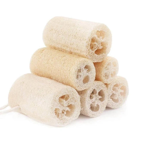 Aaponminimarket Organic Natural Loofah Sponge