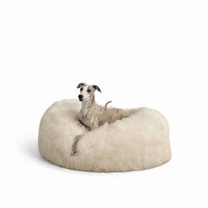 Aapon Mini Market Ltd Oval Natural Sheepskin Pet Bed (White)
