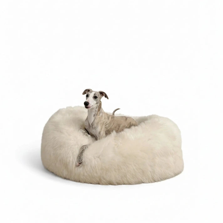 Aaponminimarket Oval Natural Sheepskin Pet Bed (White)