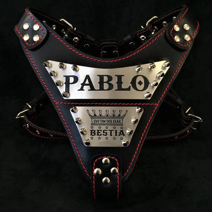 Aaponminimarket Personalized “Metal” Harness