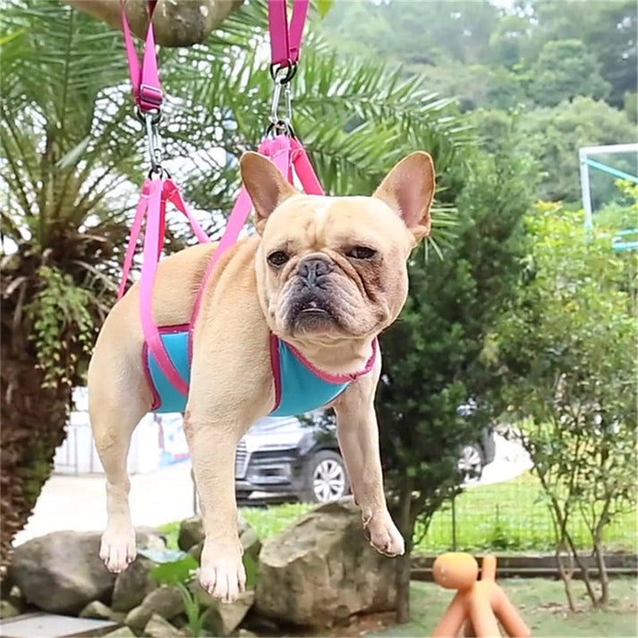 Aaponminimarket Pet Grooming Hammock for Cats & Dogs
