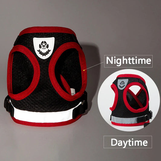 Puppy Harness and Leash Set for Small Dogs