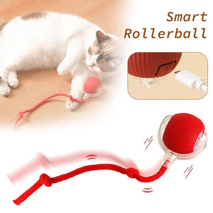 Rechargeable Cat & Dog Rolling Toy