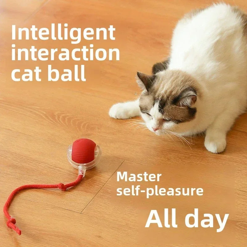 Rechargeable Cat & Dog Rolling Toy