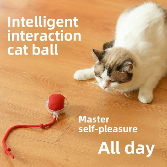 Rechargeable Cat & Dog Rolling Toy