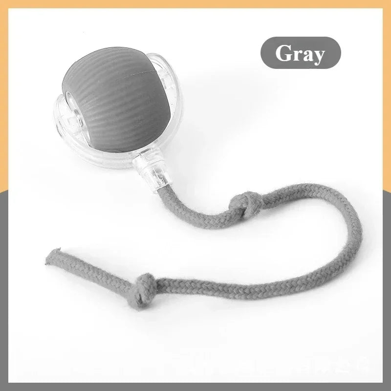 Rechargeable Cat & Dog Rolling Toy