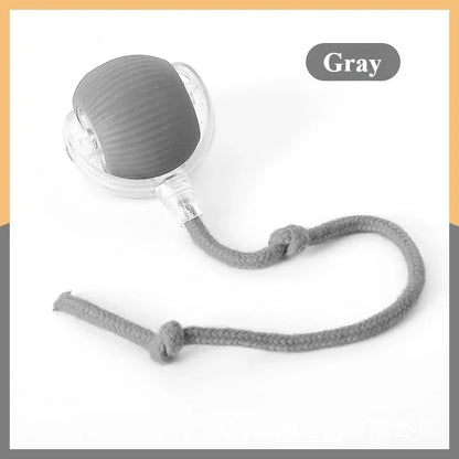 Rechargeable Cat & Dog Rolling Toy