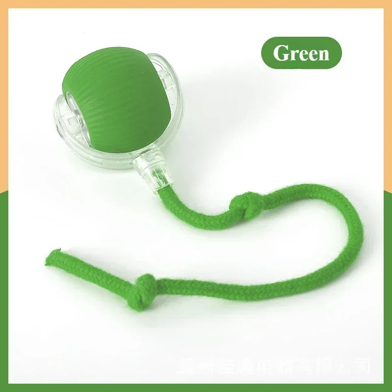 Rechargeable Cat & Dog Rolling Toy
