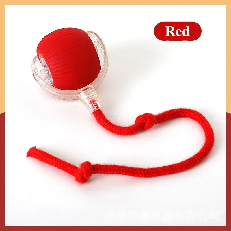 Rechargeable Cat & Dog Rolling Toy