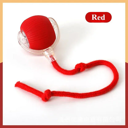 Rechargeable Cat & Dog Rolling Toy