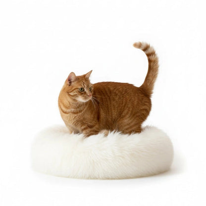 Aaponminimarket Round Natural Sheepskin Pet Bed (White)