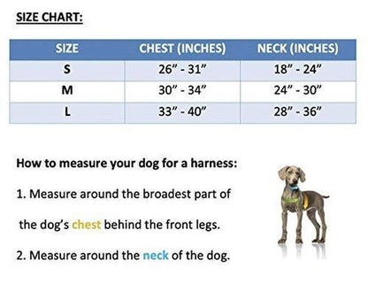 ARECO - Polo Dog Harness & Lead Set