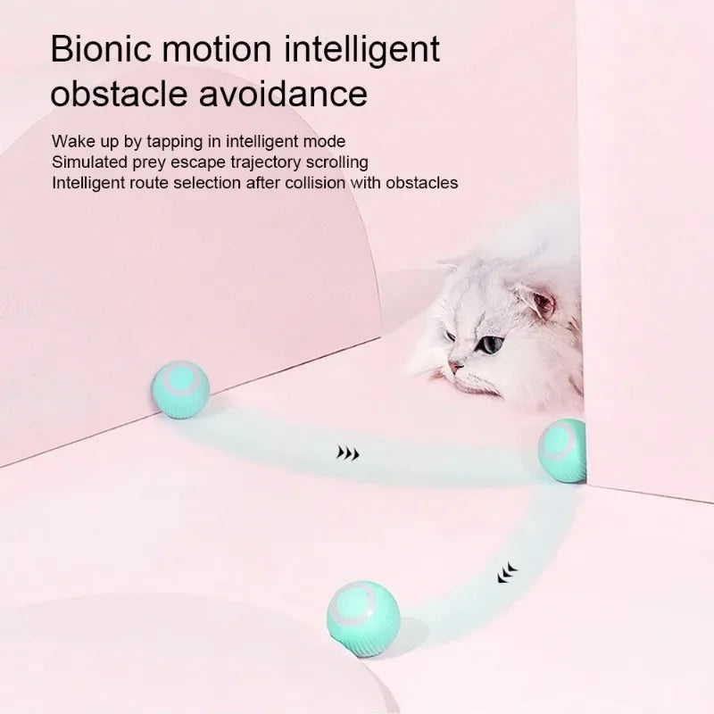 Smart 360° Rotating Cat & Dog Toy Ball