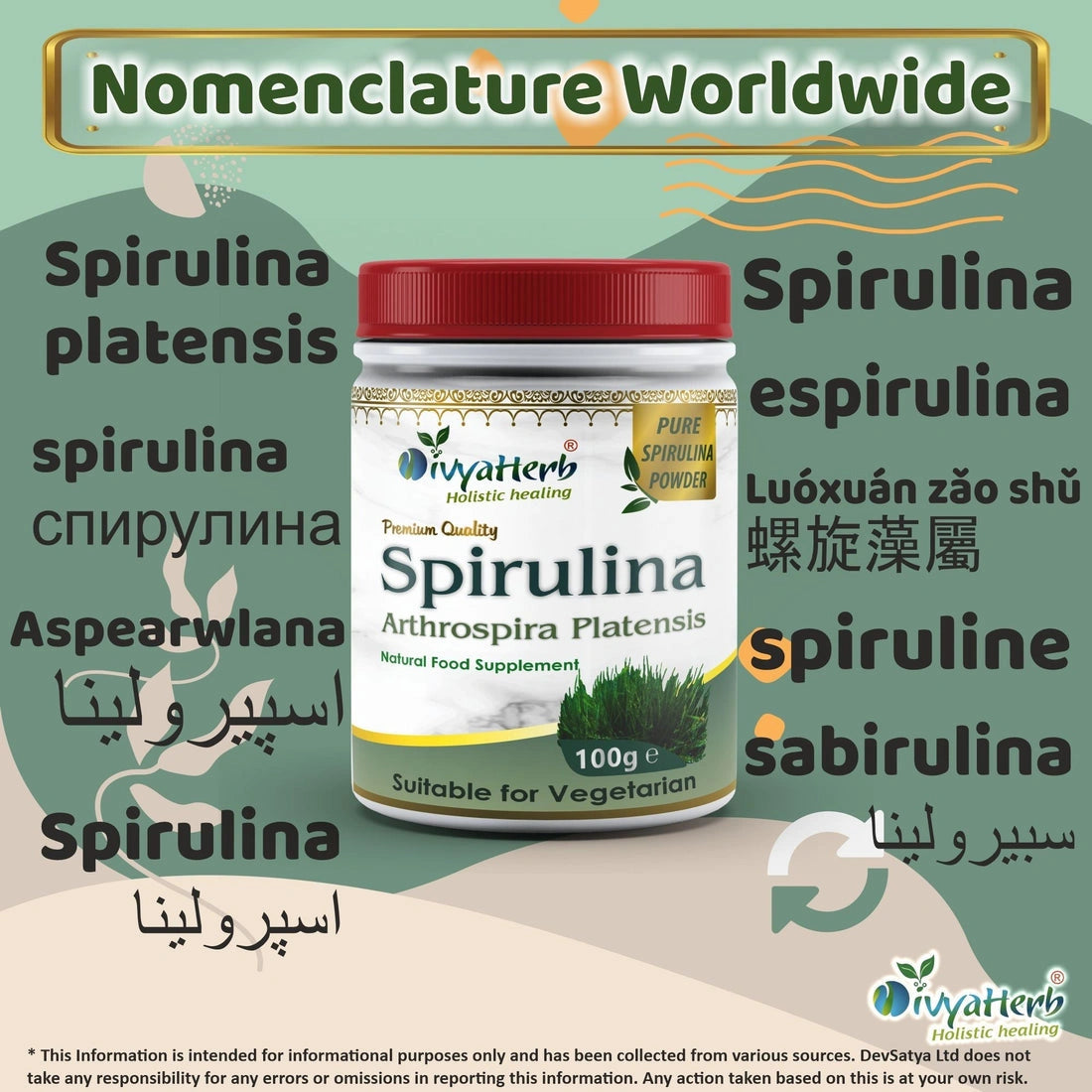 DivyaHerb Spirulina Powder 100g for Daily Vitality