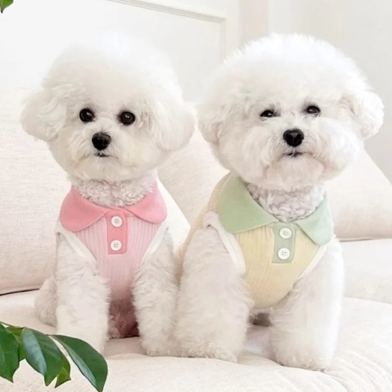 Summer Dog Polo Shirt