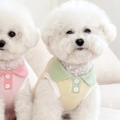Summer Dog Polo Shirt