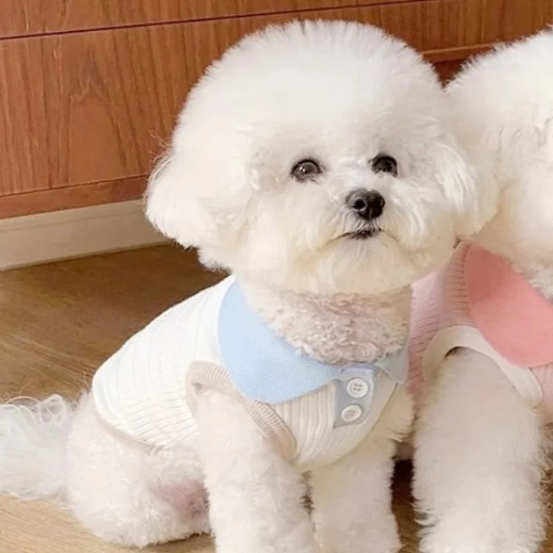 Summer Dog Polo Shirt