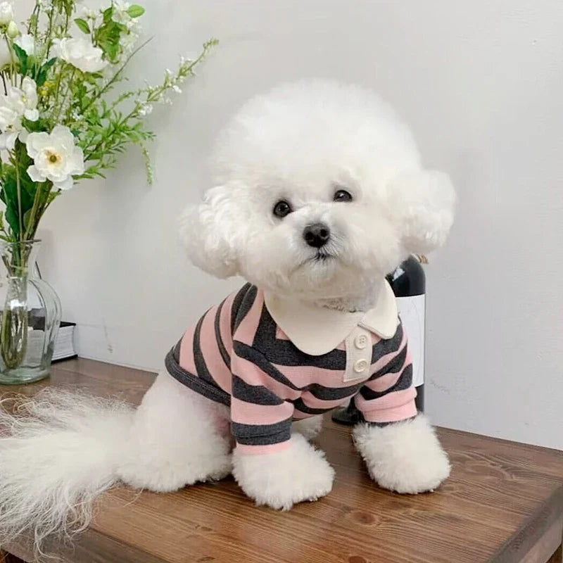 Summer Dog Polo Shirt for Small Dogs