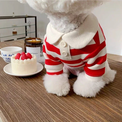 Summer Dog Polo Shirt for Small Dogs