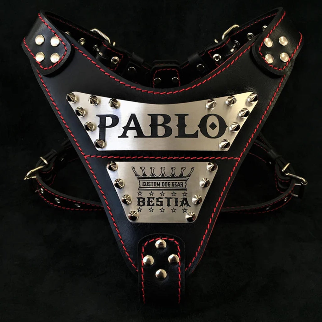 Aapon Mini Market Ltd The "Metal" harness- Personalized!
