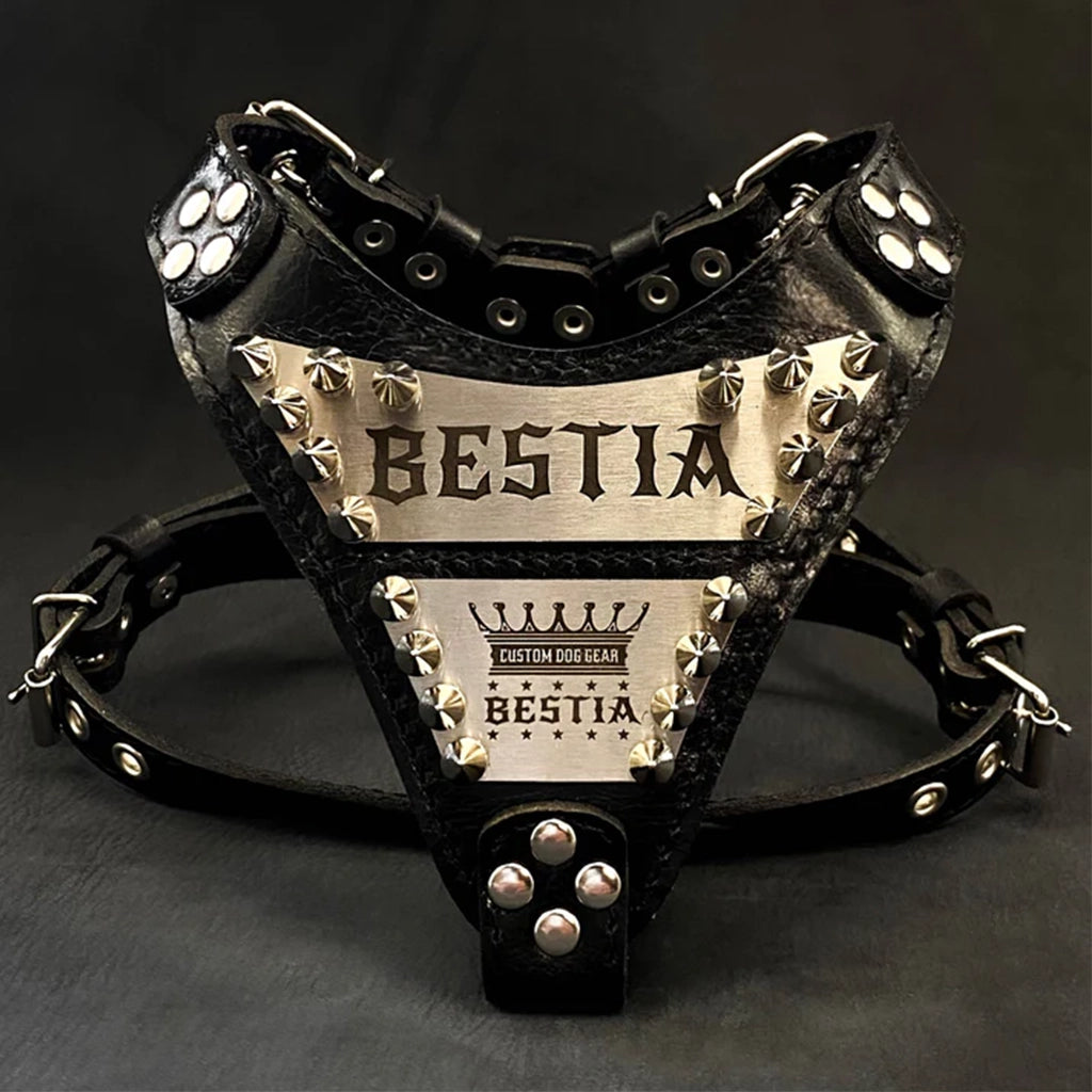 Aapon Mini Market Ltd The "Metal" harness small to medium size - Personalized