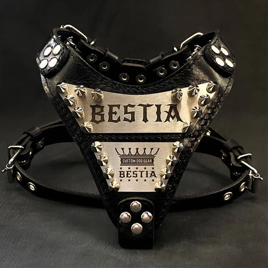 Aapon Mini Market Ltd The "Metal" harness small to medium size - Personalized