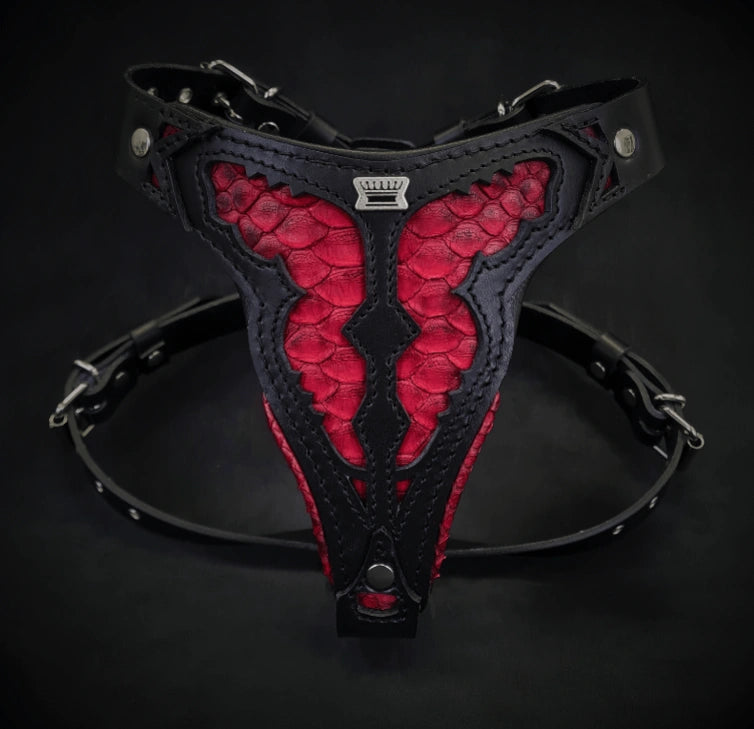 Aaponminimarket The ''Red Dragon'' harness Medium Size