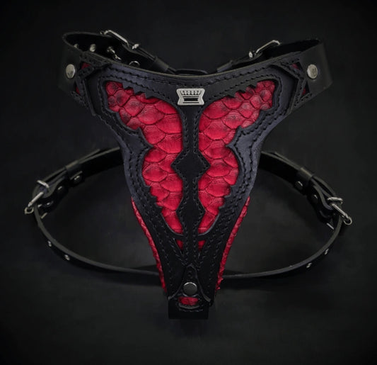Aaponminimarket The ''Red Dragon'' harness Medium Size
