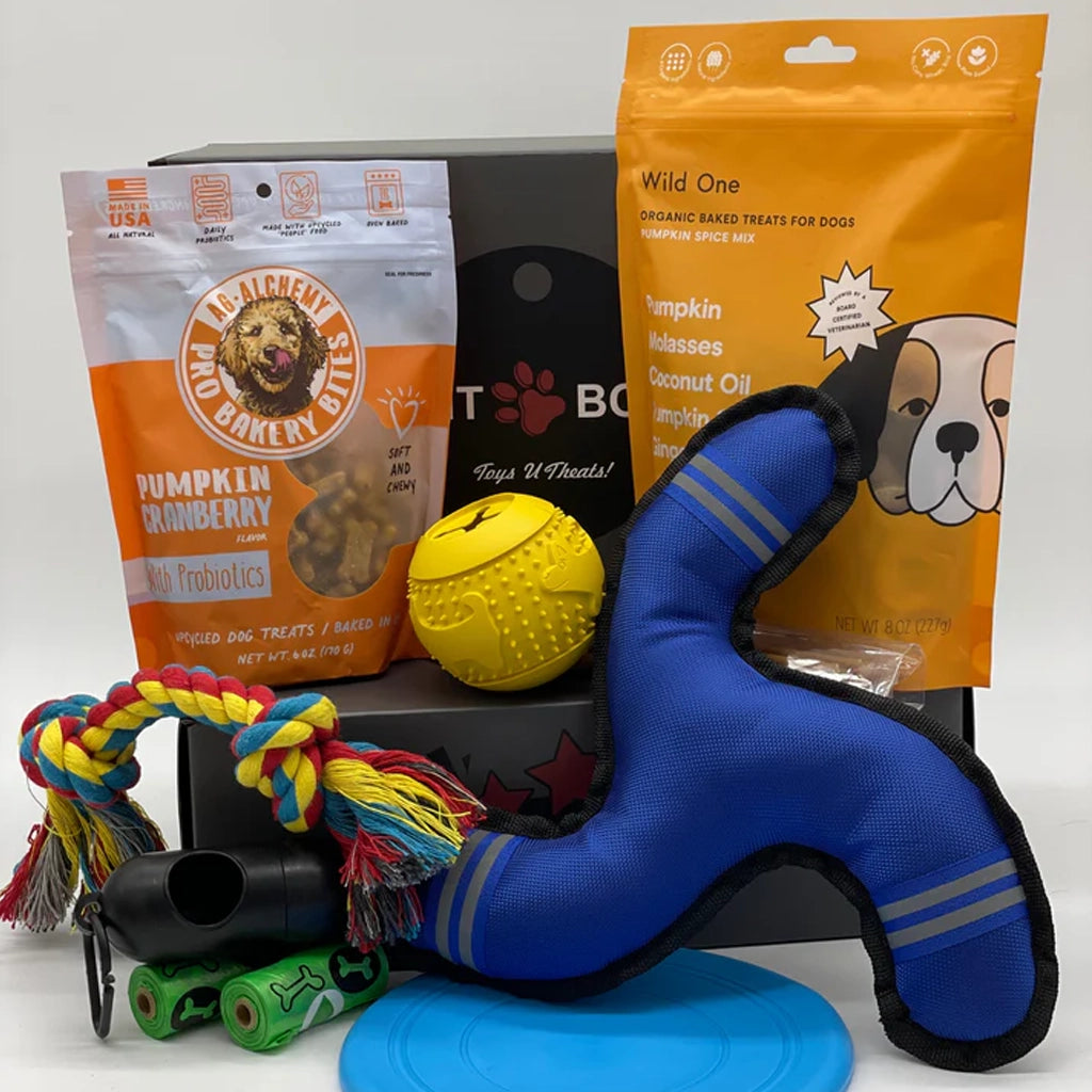 Aapon Mini Market Ltd Toys N Treats Boxes for Dogs