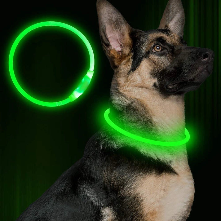 Aaponminimarket USB Rechargeable Safety Pet Collar