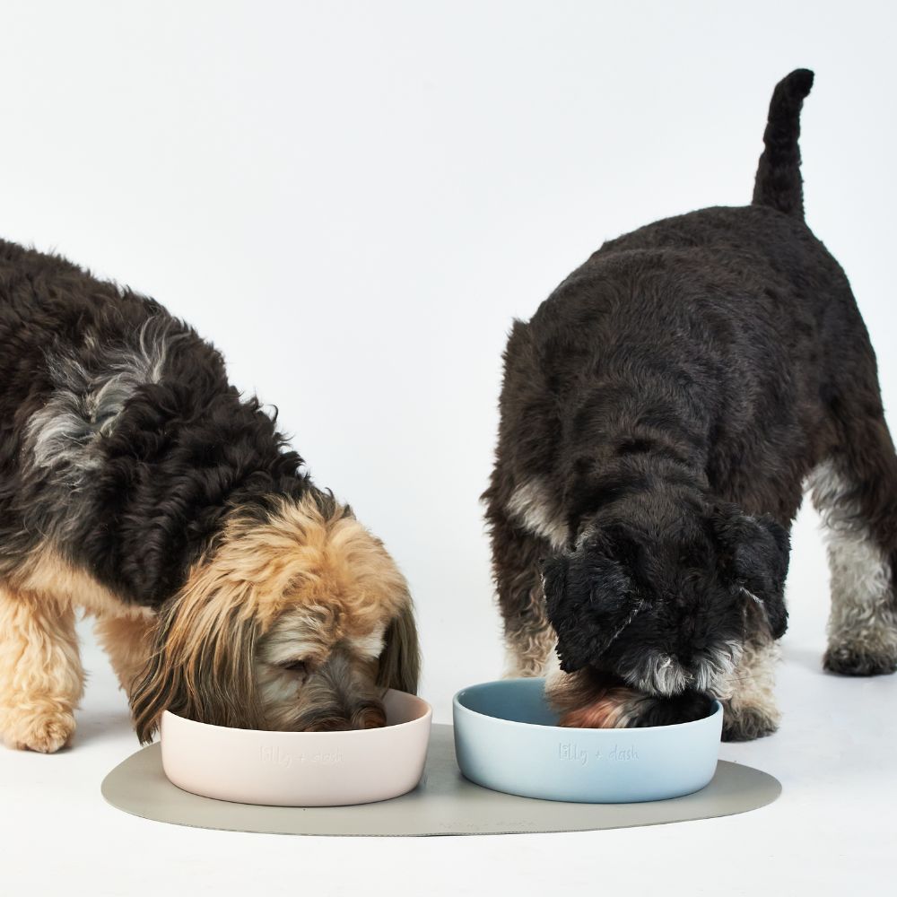 Aapon Mini Market Ltd pet bowls