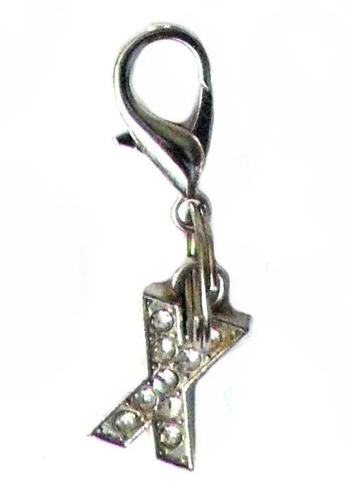 Aaponminimarket A–Z Crystal Letter Pet Charms