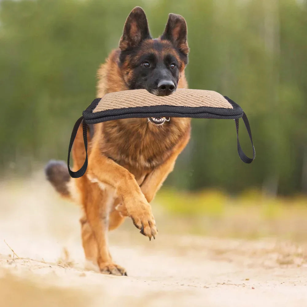 chew toys for cats and dogs