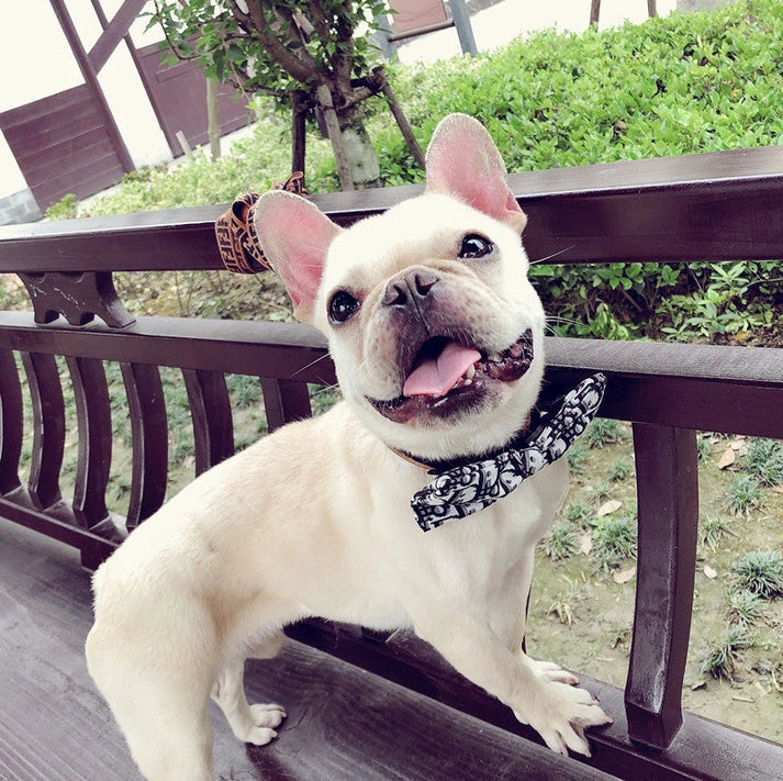 Aaponminimarket Handsome Dog Bow Tie Collar3