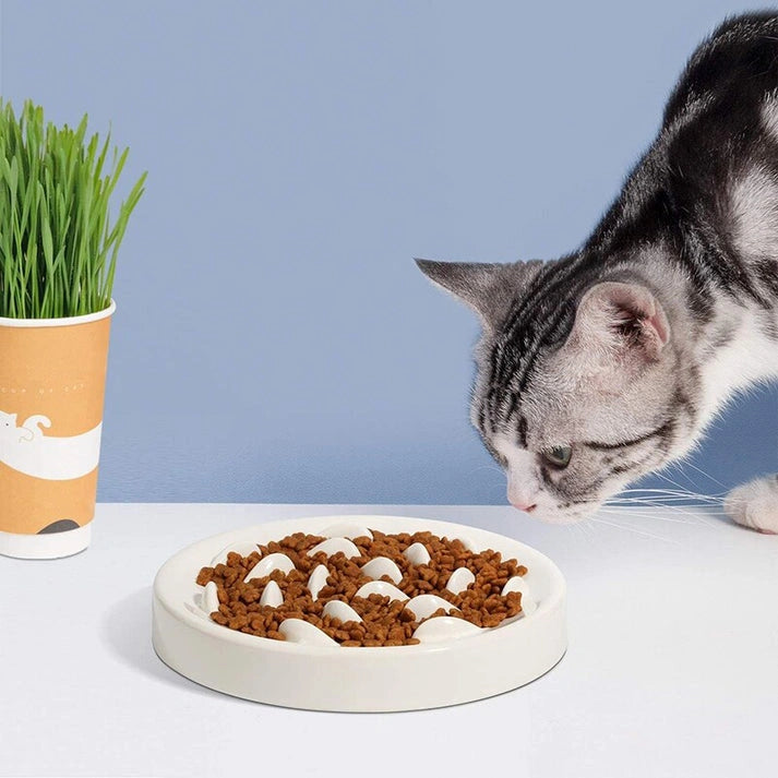 AntiChoke Dog Bowl Food Bowls