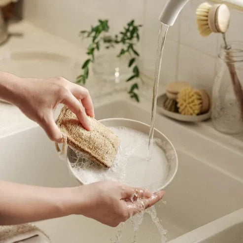 Aapon Mini Market Sustainable Dish Brush Set