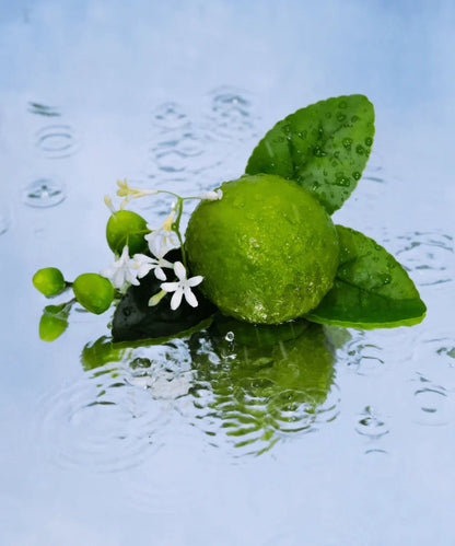 JARDIN SICILIEN 100ml Eau de Parfum | Maissa Perfume UK